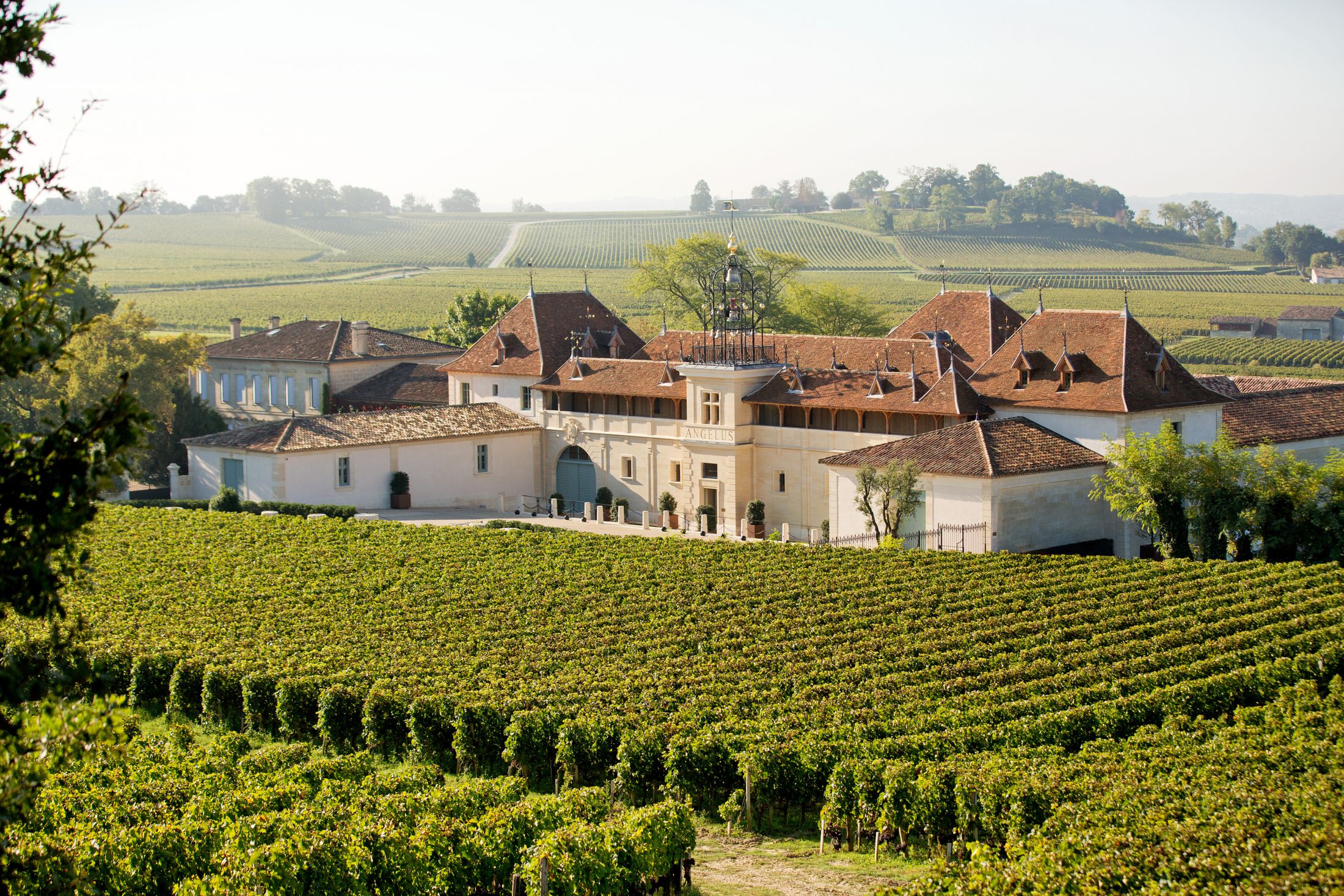 Vinarija Château Angelus